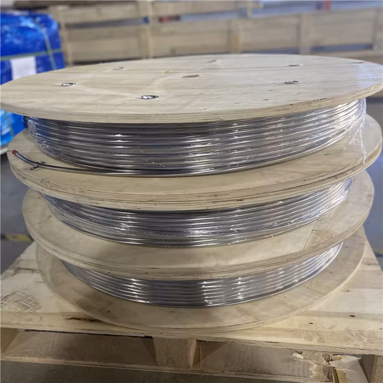 Fournisseur de tubes enroulés sans soudure en acier inoxydable 316L